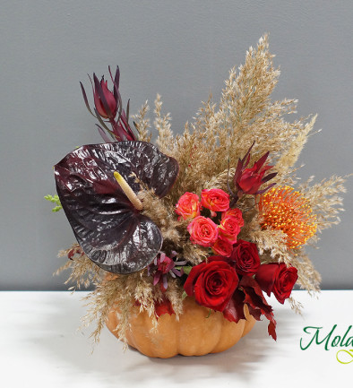 Arrangement with Red Roses, Anthurium, and Leucospermum with Pumpkin photo 394x433